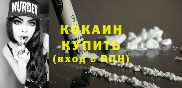 индика Белоозёрский