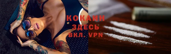 индика Белоозёрский