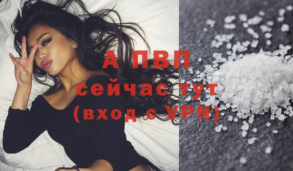 эйфоретик Беломорск