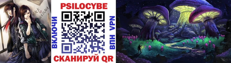 магазин продажи   Приволжский  Псилоцибиновые грибы Magic Shrooms 