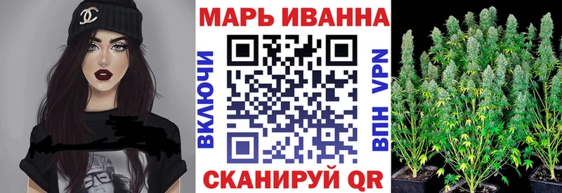 Канабис конопля  Приволжский 